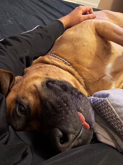 Max