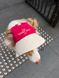 Limited edition Christmas hat (Pre-order)