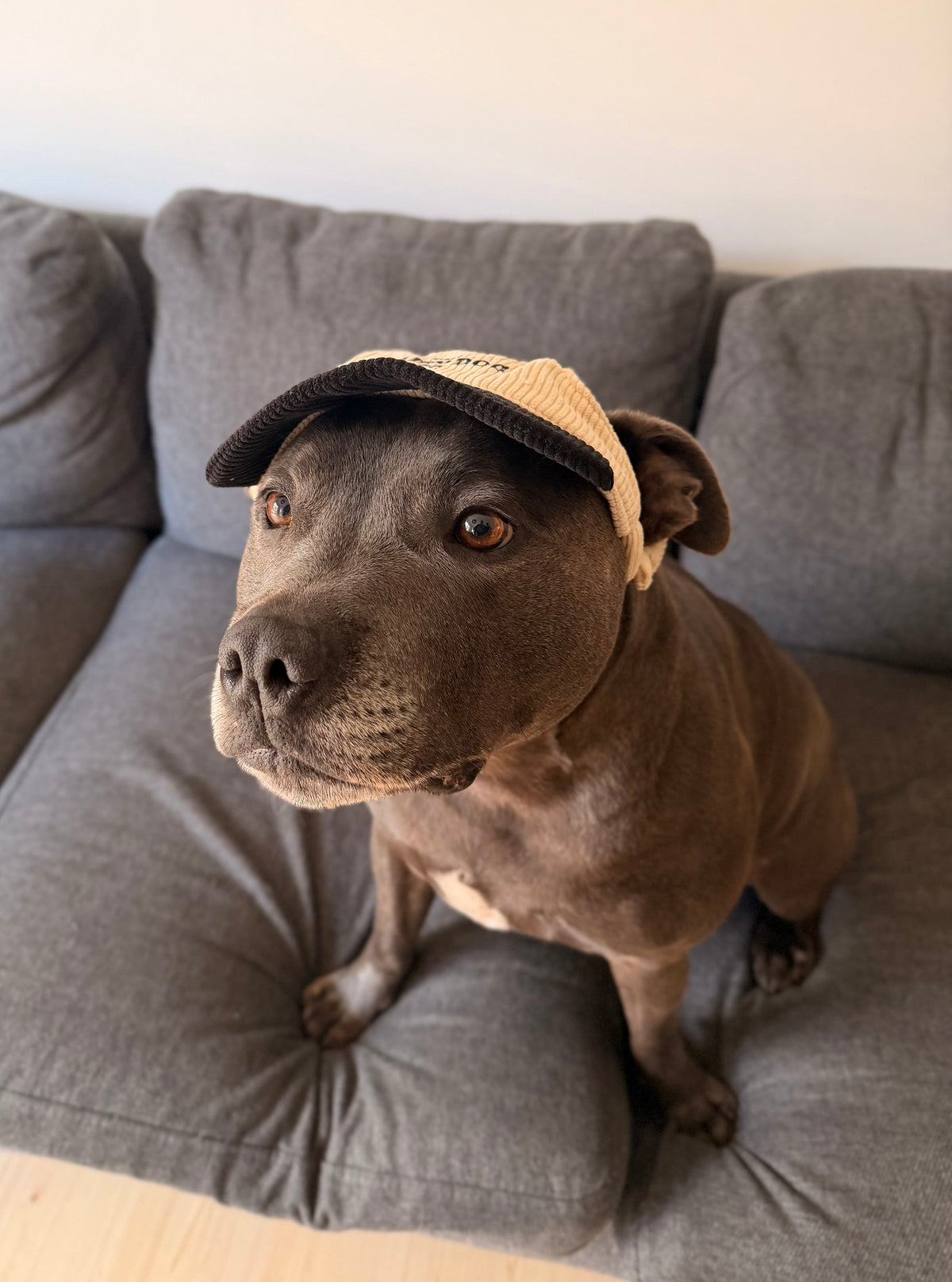 Bean 