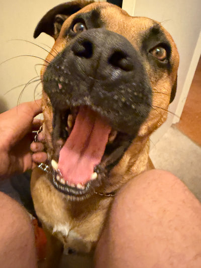 Max