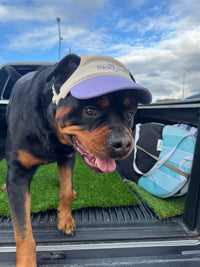 Hairy dog Corduroy cap