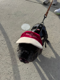 Limited edition Christmas hat (Pre-order)