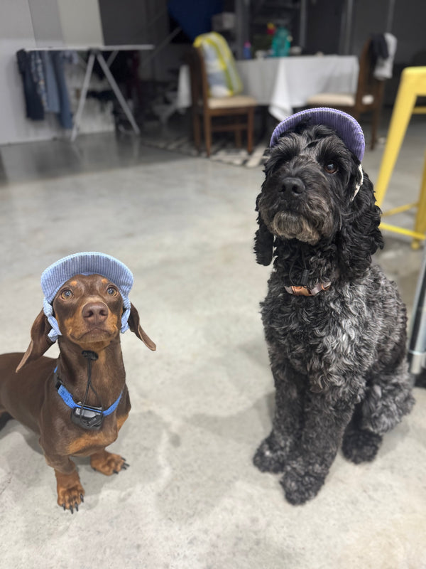 Milo & Lulu