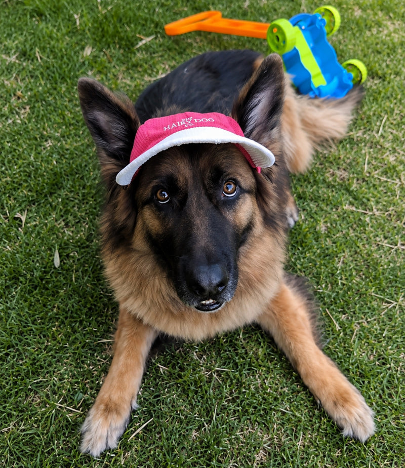 Limited edition Christmas hat (Pre-order)