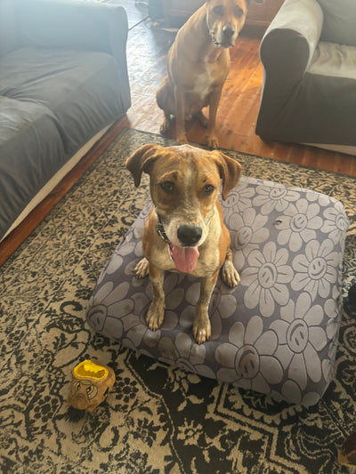 Rain Ariki River Thompson-Morrison