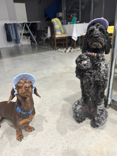 Milo & Lulu