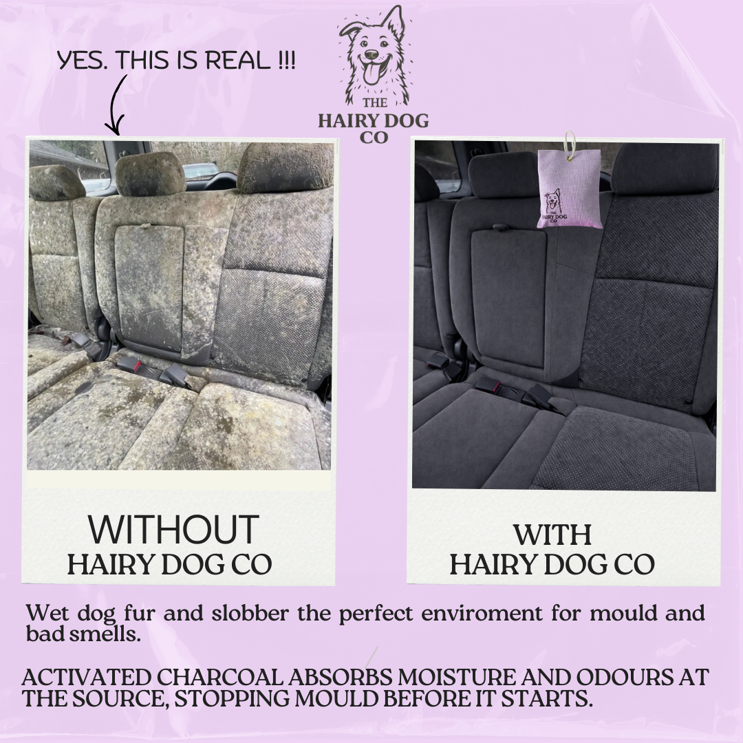 Comparison of car seats before and after using Hairy Dog Co product on a purple background.