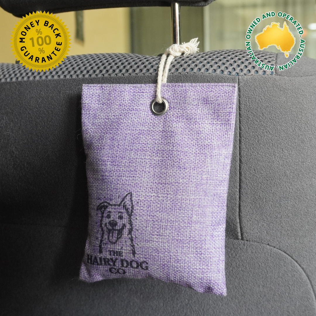 Purple Activated charcoal moisture absorber hanging from car headrest to remove wet dog smells and moisture, Australian owned and operated.