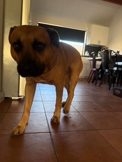 Max