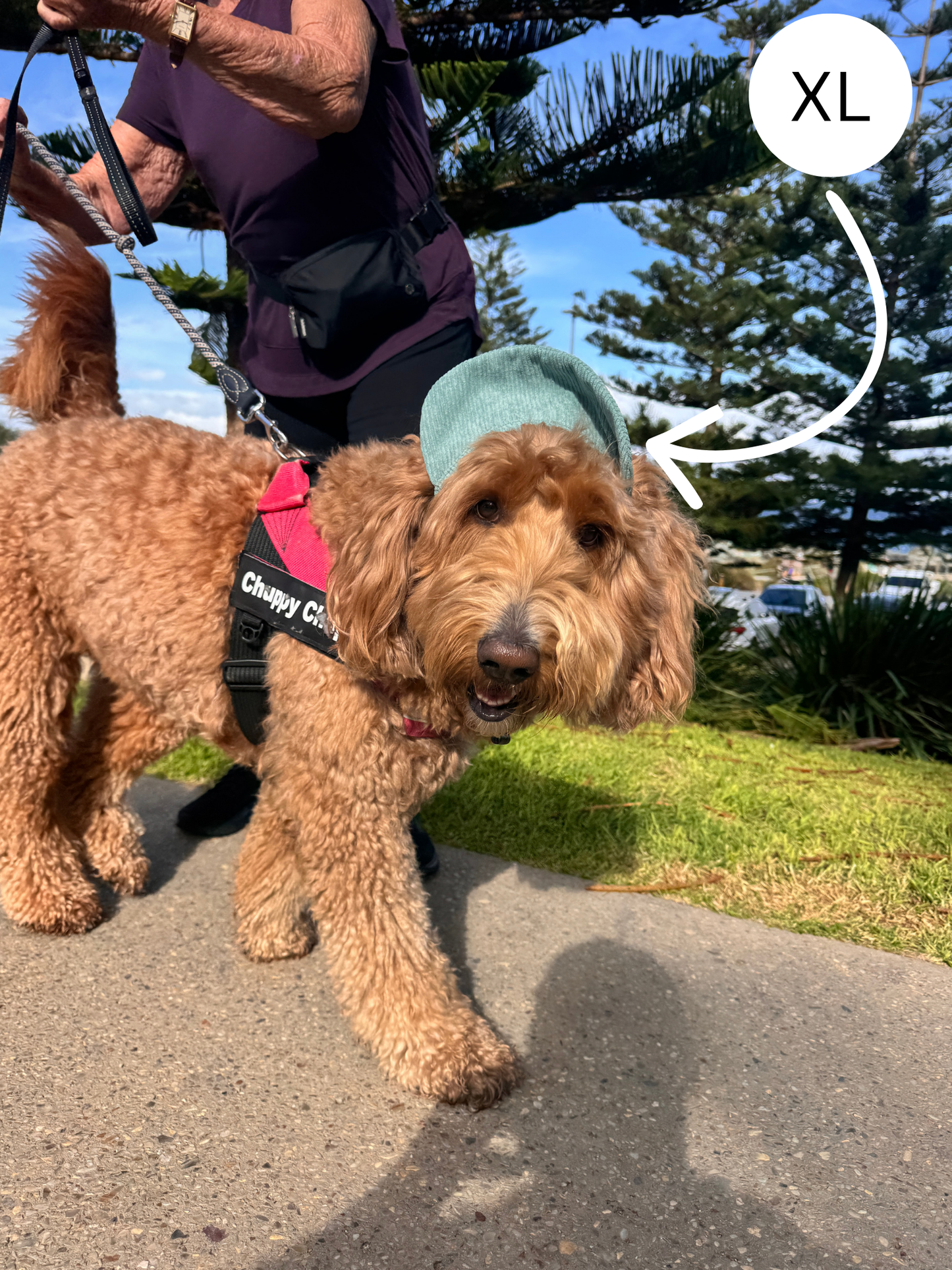Hairy dog Corduroy cap