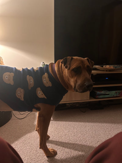 Miss Molly