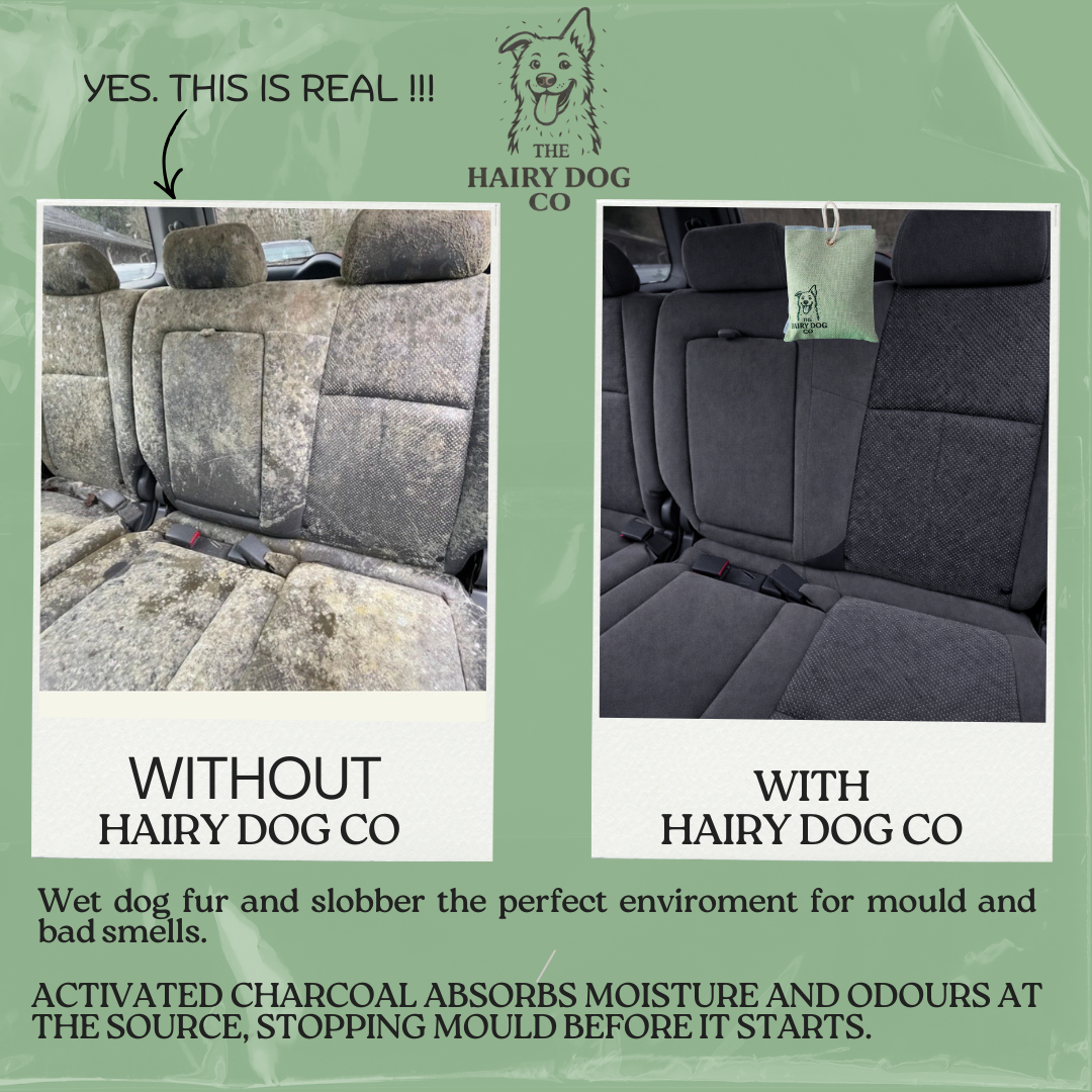 Green Before and after image of car seats without and with The Hairy Dog Co charcoal moisture absorber, showing reduced mould and odours from wet dog moisture.