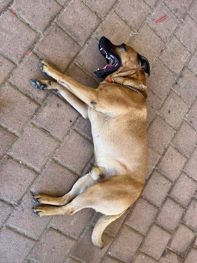 Max